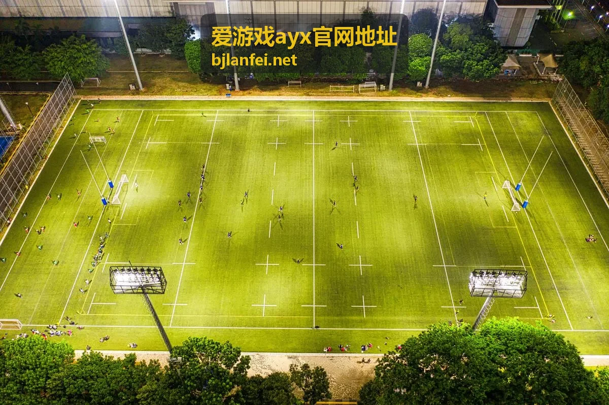 爱游戏ayx官网地址功能服务速览配图