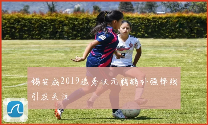 锡安成2019选秀状元鹈鹕补强锋线引发关注