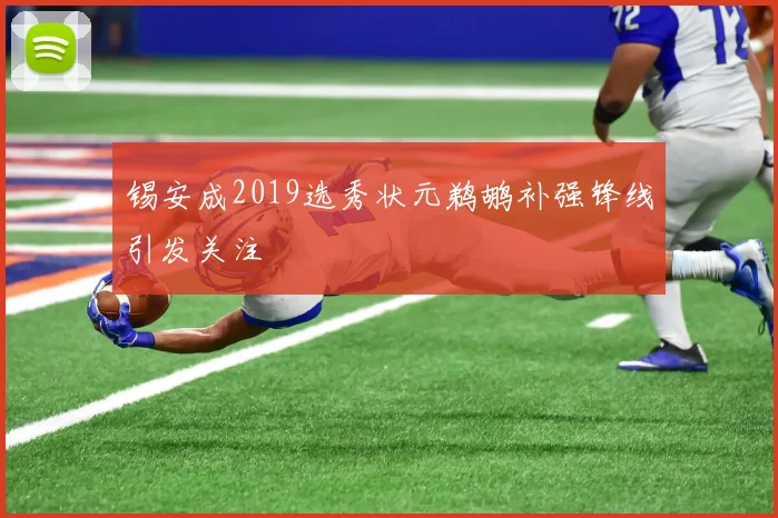 锡安成2019选秀状元鹈鹕补强锋线引发关注