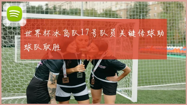 世界杯冰岛队17号队员关键传球助球队取胜