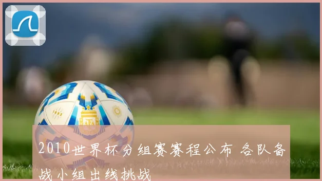 2010世界杯分组赛赛程公布 各队备战小组出线挑战