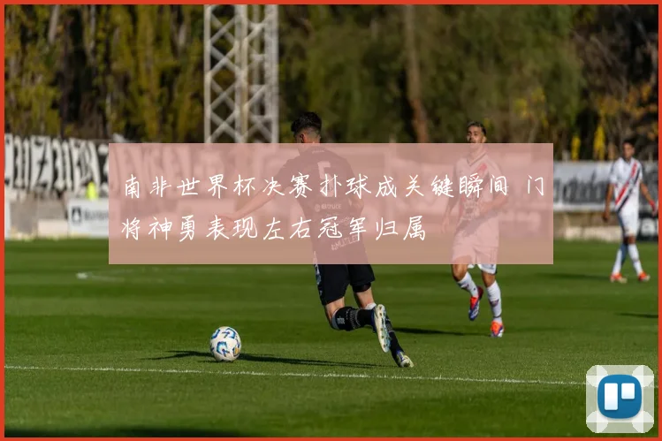 南非世界杯决赛扑球成关键瞬间 门将神勇表现左右冠军归属