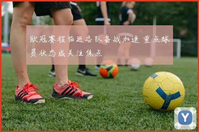 欧冠赛程临近各队备战加速 重点球员状态成关注焦点
