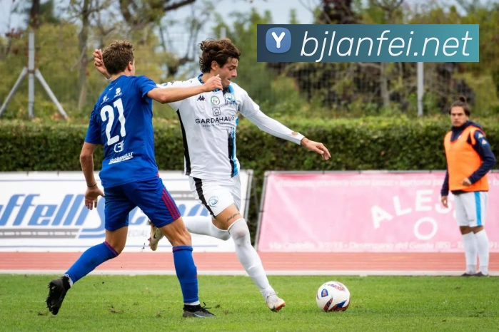 买球官方平台生态图